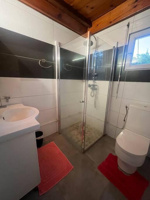 Le Tournesol By Egl Immo Apartment Saint-Pierre Екстериор снимка